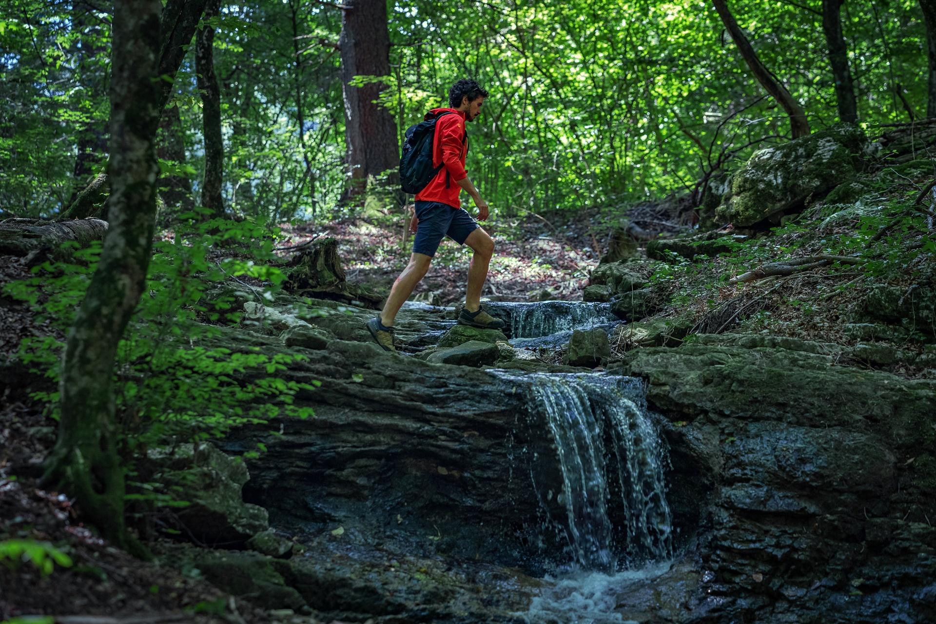 Trekking_Parco_del_Respiro_Acqua_e_Faggi_Fai_Estate_2018_DP_ph._Tommaso_Pini_28.jpg